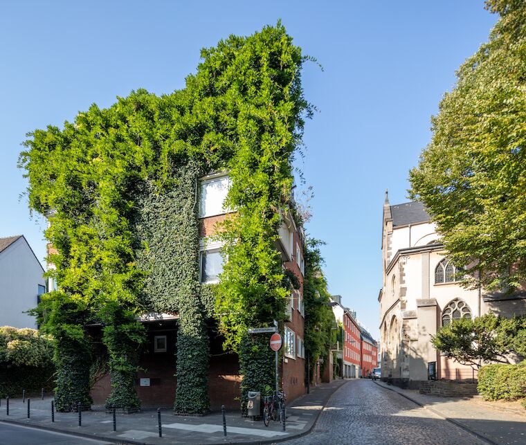 Seit 1990 gibt es diese begrünte Hausfassade an einem Kölner Mehrfamilienhaus von der Aachener Siedlungs- und Wohnungsgesellschaft mbH. Foto: Benjamin Marx, © Aachener Siedlungs- und Wohnungsgesellschaft mbH