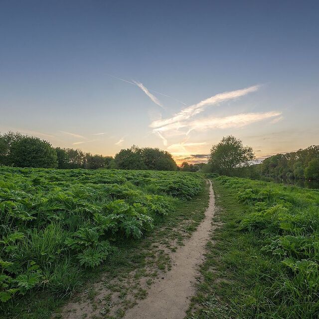 Das Naturschutzgebiet „Untere Kettwiger Ruhraue“ in Mülheim an der Ruhr.