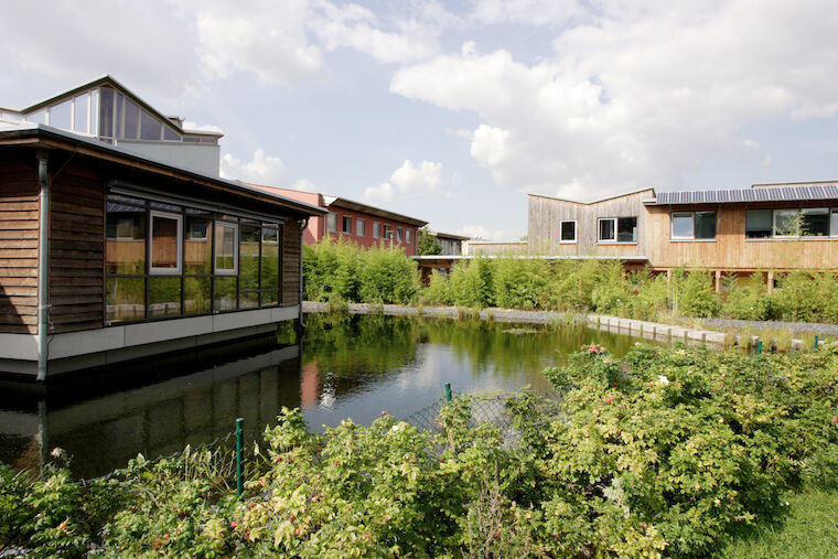 Schulteich der Gesamtschule Gelsenkirchen Bismarck. Foto: Cornelia Suhan