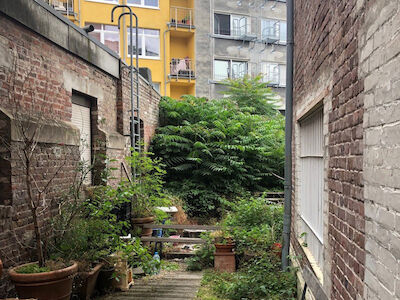 Eine grüne Insel in einem Hinterhof inmitten von Köln. Foto: Lynn Kunze