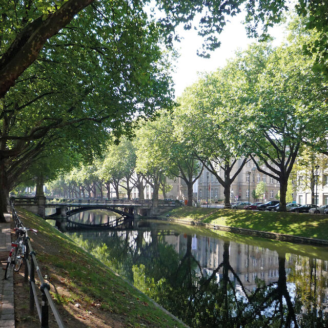 Die „Düsseldorf Königsallee“ aus Band 4 „Straßenräume“ des Handbuchs der Stadtbaukunst (Hg. Christoph Mäckler).