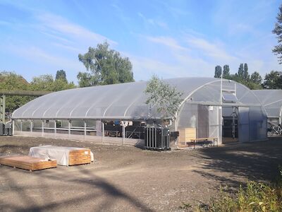 Die Aquaponik-Stadtfarm mit zwei Gewächshäusern in Dortmund. Foto: Sebastian Schlecht