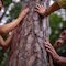 Foto: Tourismus NRW e.V.