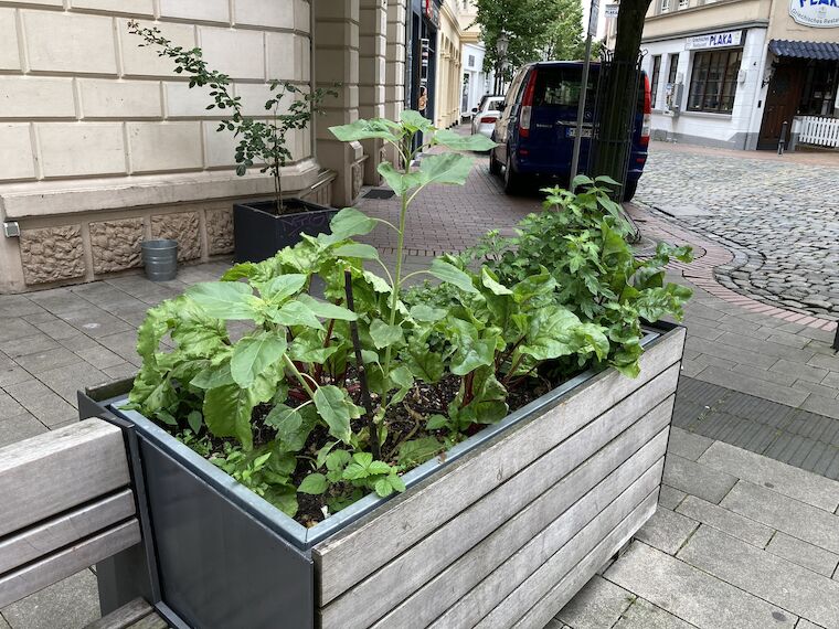 Alle können mitmachen und die Ernte nutzen. Foto: Leonie Bublat / Baukultur NRW