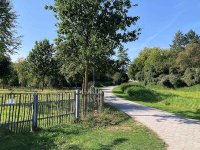 Mitten in Lüdinghausen: Neuer Lebensraum für Insekten und Kleintiere. Foto: Leonie Bublat