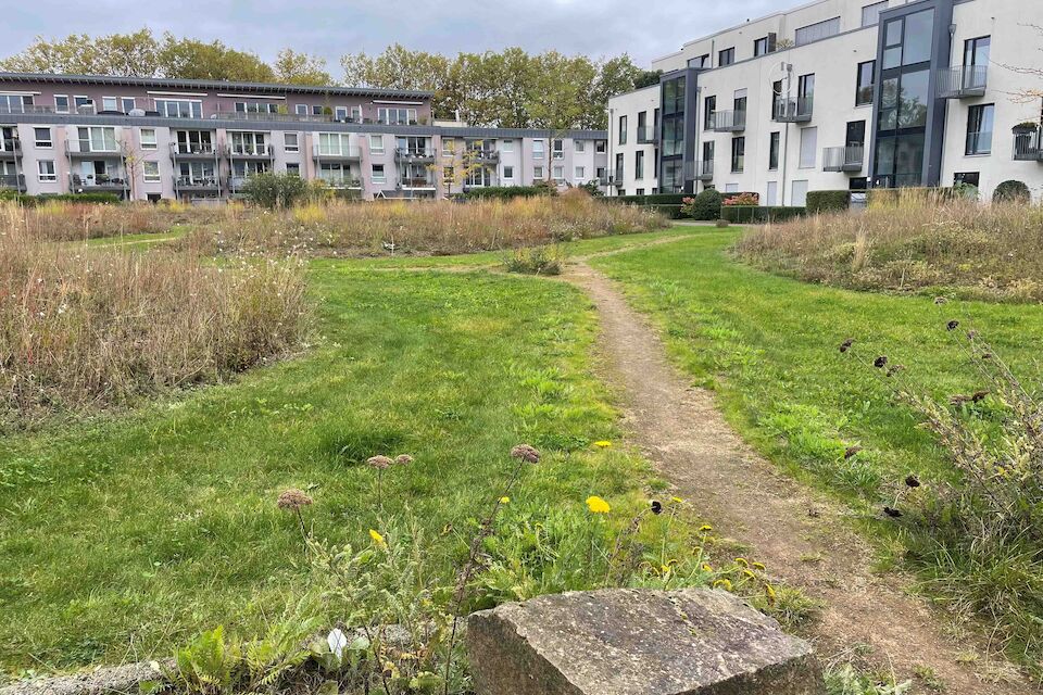 Sorgt für Versickerungsmöglichkeiten und beeinflusst das Mikroklima: Eine große unversiegelte Grünfläche südlich an der Liverpoolstraße in Mülheim an der Ruhr.