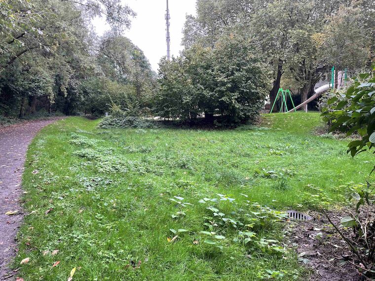 Retentionsfläche hinter dem Spielplatz in Mülheim an der Ruhr. Foto: Fenna Tinnefeld