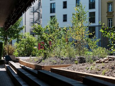 Wie ein Hügelbeet: die Hygroskin in Luzern. Foto: Samuel Bramley