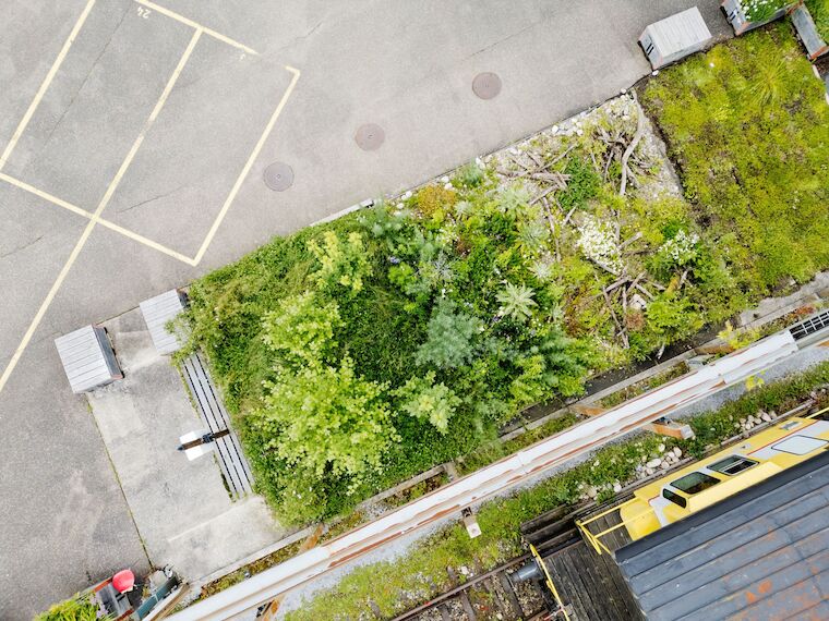 Die Hygroskin von oben am Dreispitz. Foto: Daniela Valentini