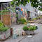 Bepflanzungen erhöhen die Biodiversität und Aufenthaltsqualität am Deispitz in Basel. Foto: Daniela Valentini
