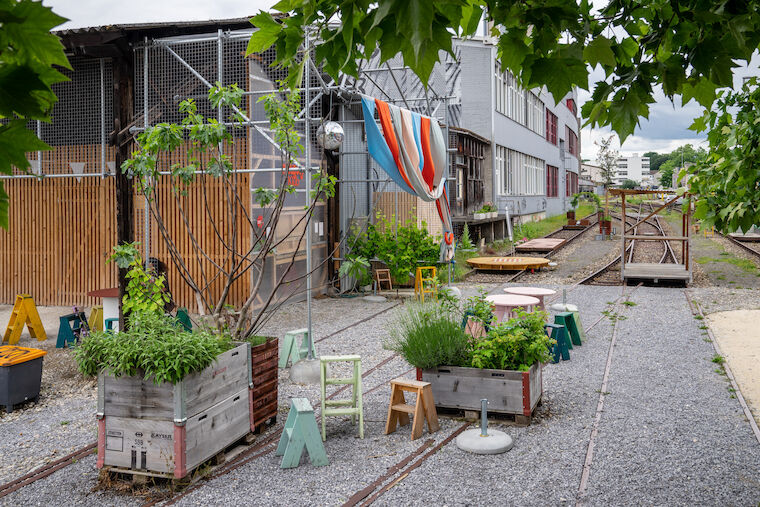 Bepflanzungen erhöhen die Biodiversität und Aufenthaltsqualität am Deispitz in Basel. Foto: Daniela Valentini