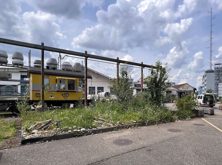 Die Hygroskin in Basel am Dreispitz. Foto: Samuel Bramley